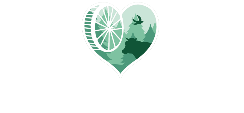 Schwarzwaldruhe